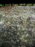 image of grave number 144716